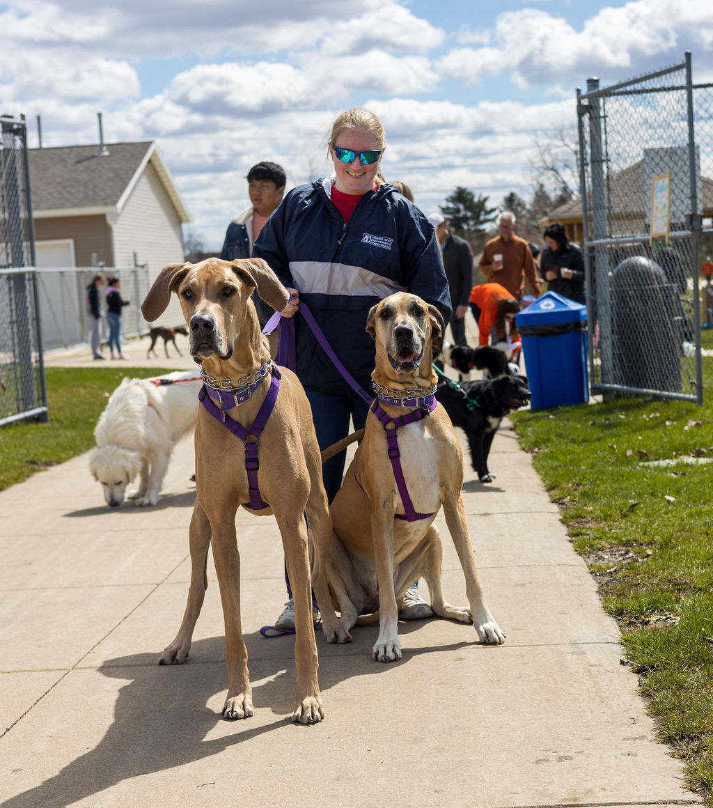 Courtney Renfro with Great Danes Gemma and Maya